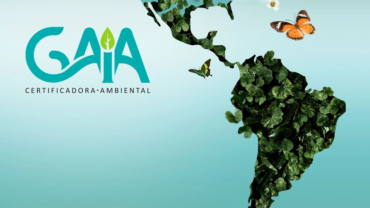 Gaia Certificadora Ambiental: mapa das Américas formado por folhas